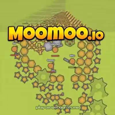 MOOMOO IO
